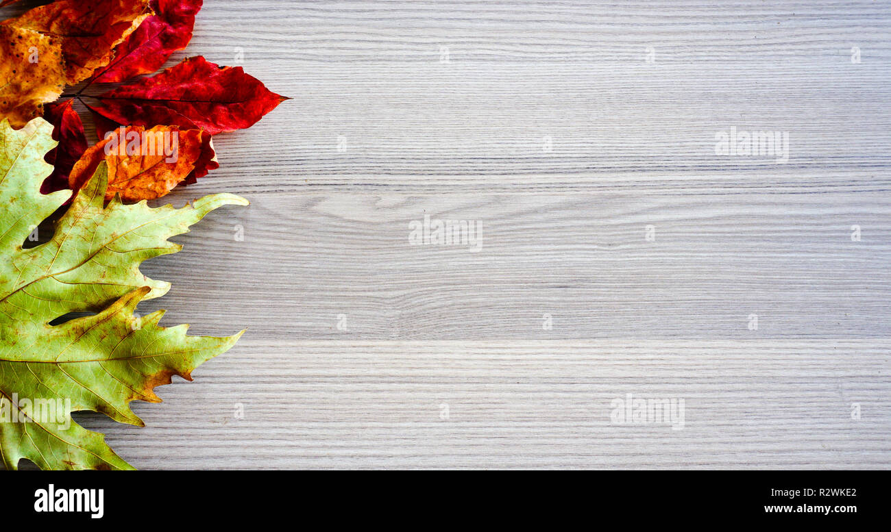 Autumn leaves on a wooden texture.Autumn background,banner template. Stock Photo
