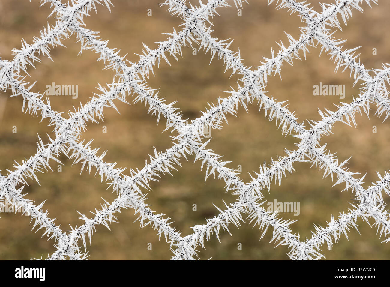 hard wire fence