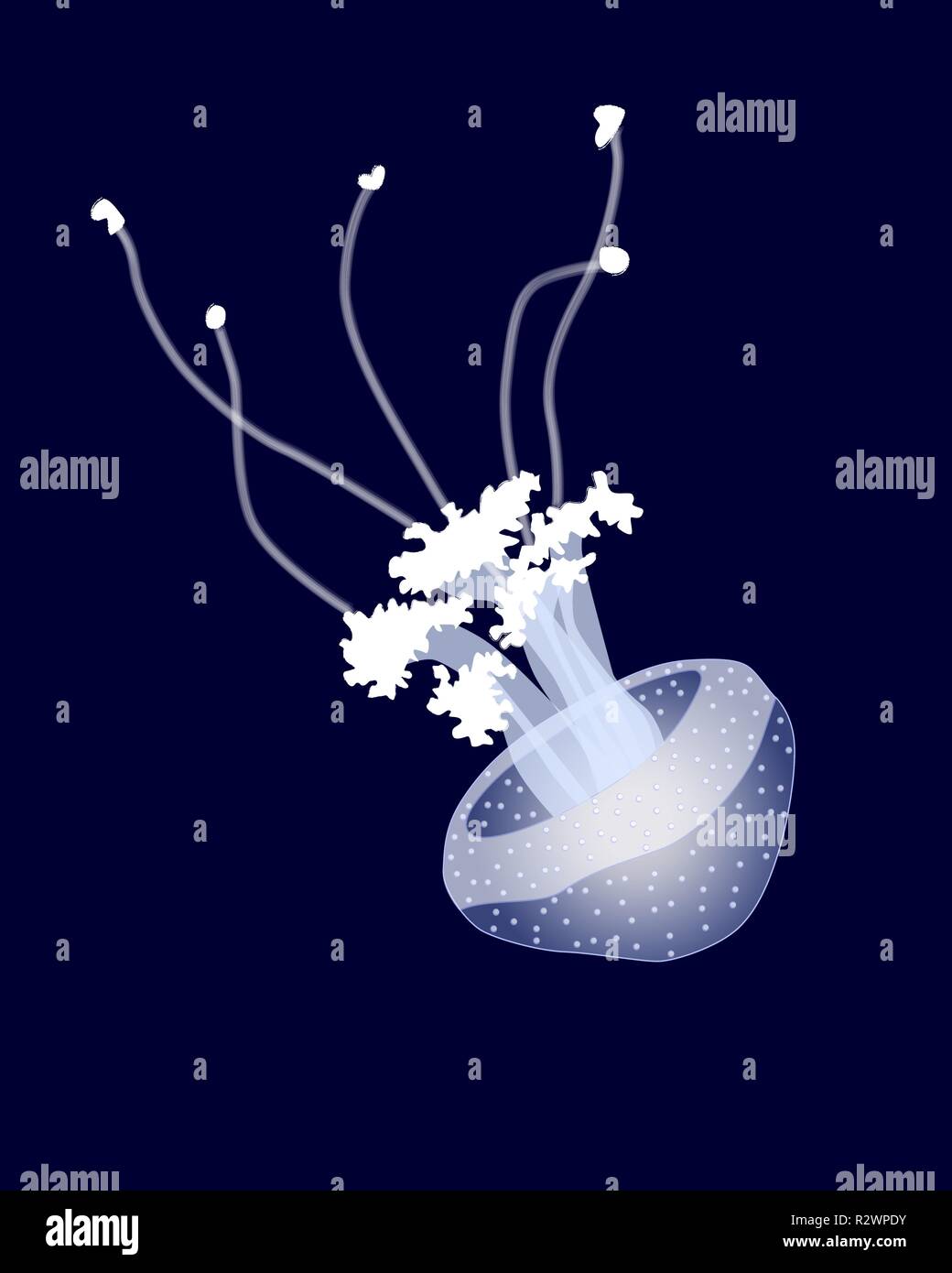 Blue jellyfish on dark background, vector illustration Stock Vector