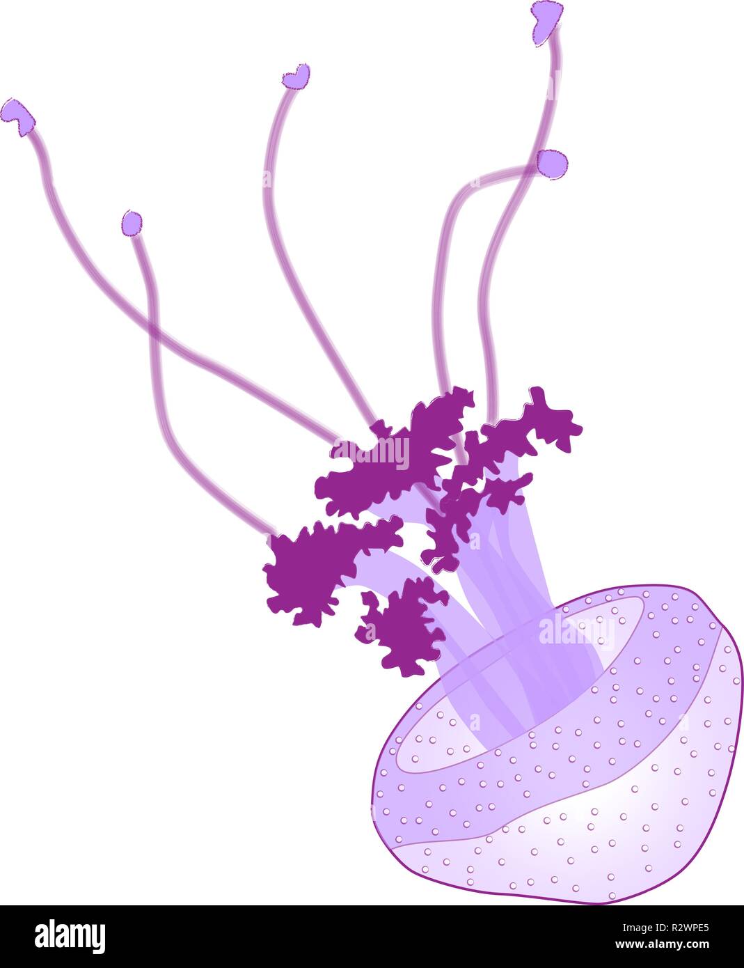 Purple jellyfish on light background, vector illustration Stock Vector