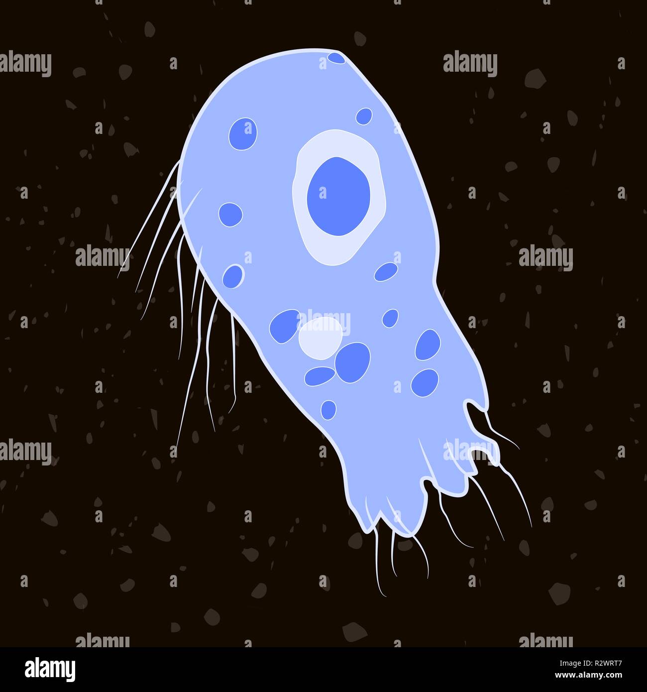 Vector illustration of single-celled eukaryote Percolozoa, Protozoa Stock Vector
