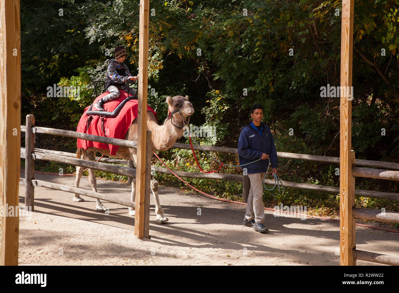 Zoo Ride High Resolution Stock Photography And Images Alamy