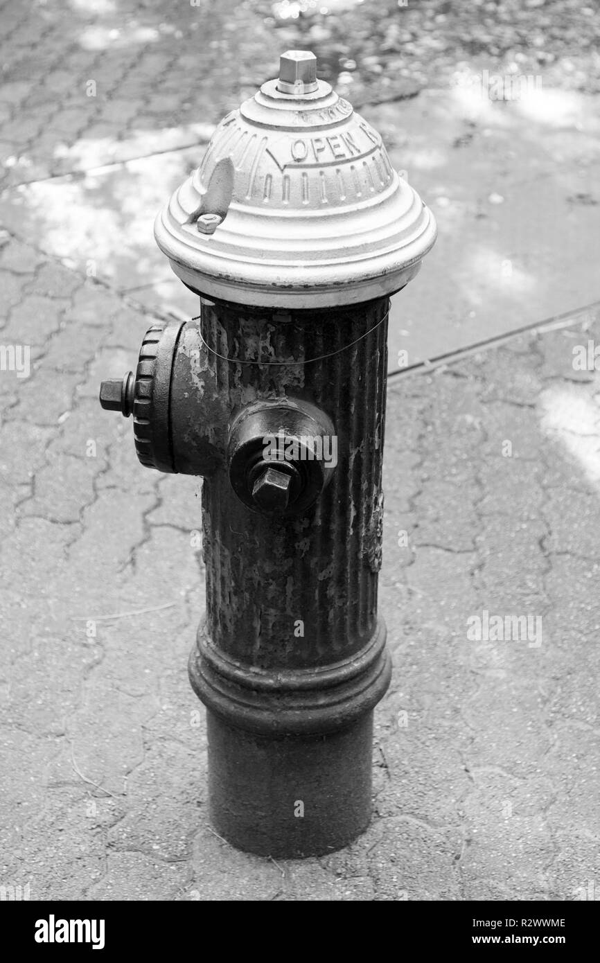 Fire Hydrant Bronx Zoo, New York, United States of America. Stock Photo