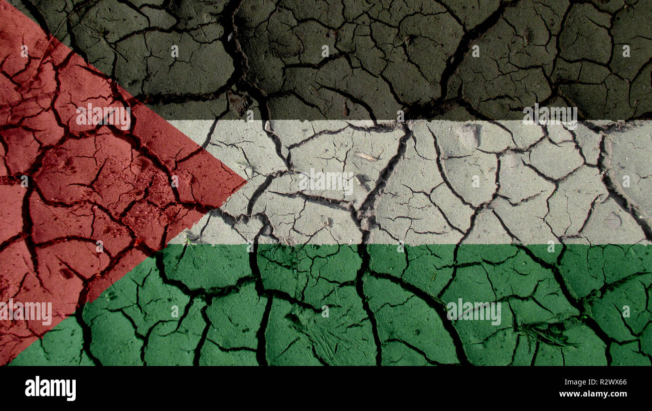 Political Crisis Or Environmental Concept: Mud Cracks With Palestine Flag Stock Photo