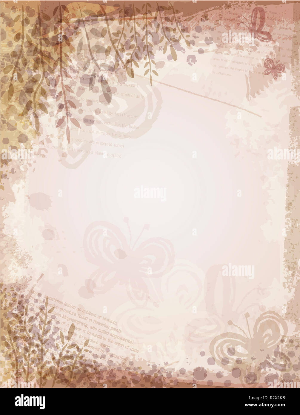 Temperate insect hi-res stock photography and images - Alamy