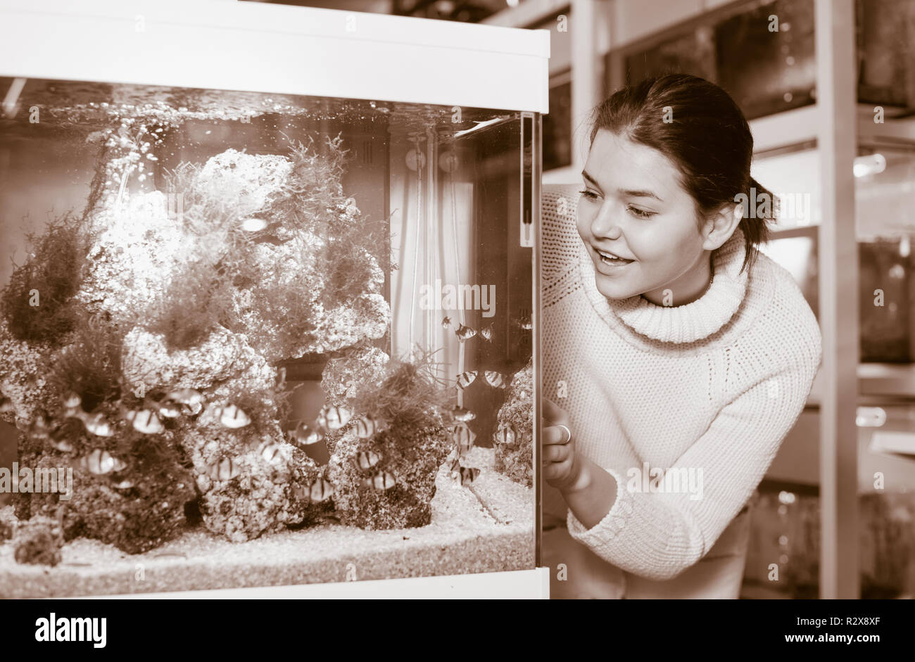 Happy positive girl looking at striped tropical fish in aquarium with rocks and seaweed inside in aquarium shop Stock Photo