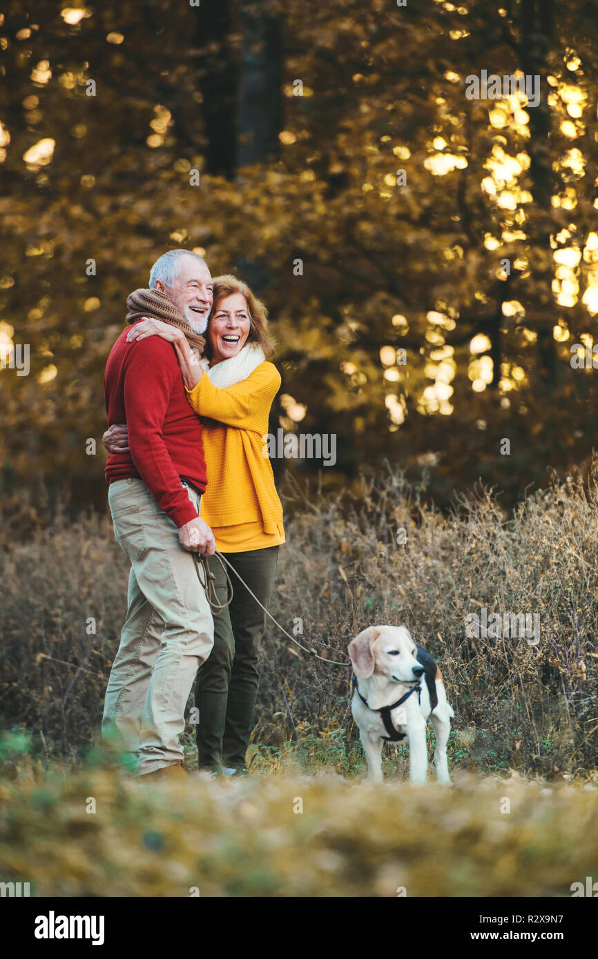 A senior couple with a dog standing in an autumn nature, hugging Stock ...