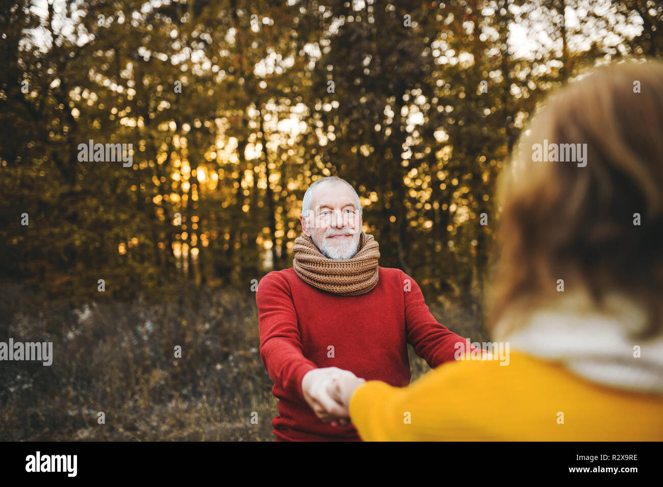 A senior couple on a walk in an autumn nature at sunset, holding hands ...
