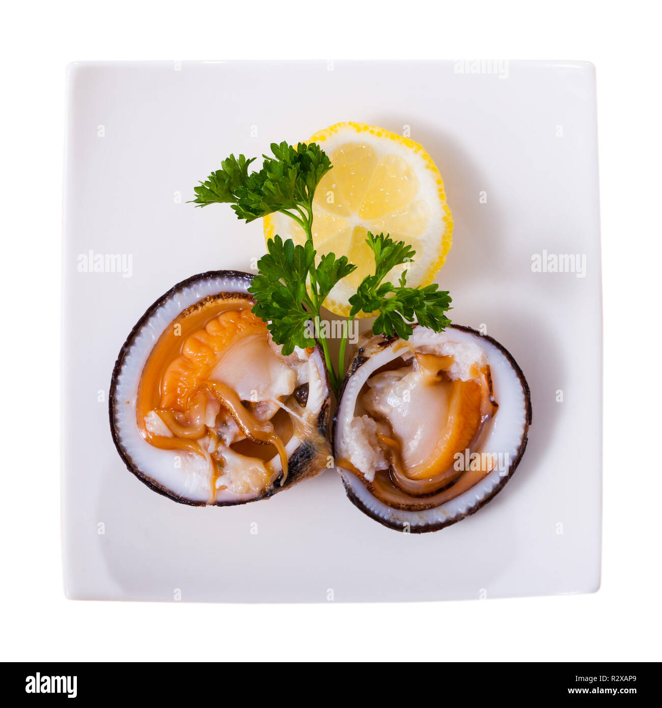 Top view of raw dog cockles served on white plate with lemon and greens. Isolated over white background Stock Photo