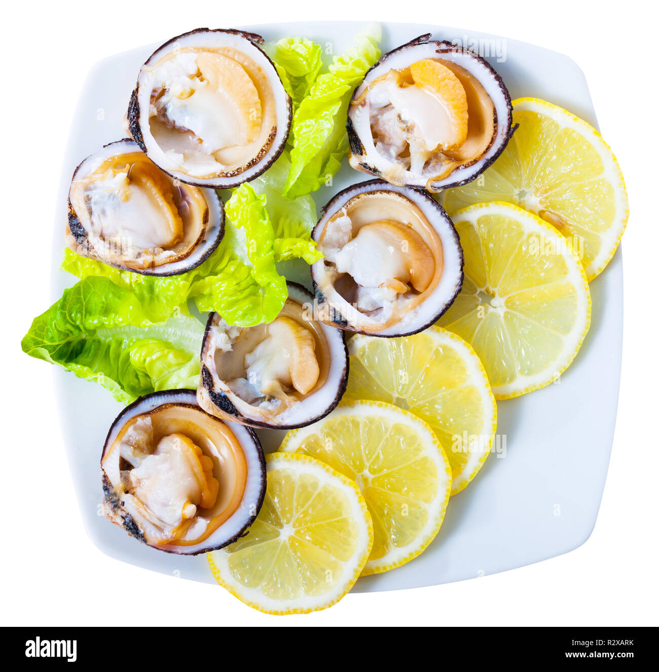 Seafood. Delicious raw fresh dog cockles served on white plate with greens and lemon. Isolated over white background Stock Photo