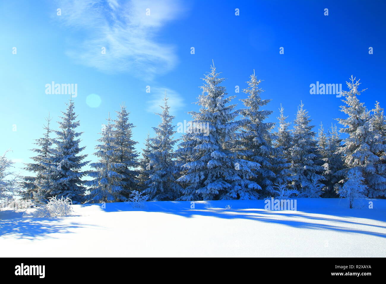 Winter landscape forest in snow hi-res stock photography and images - Alamy