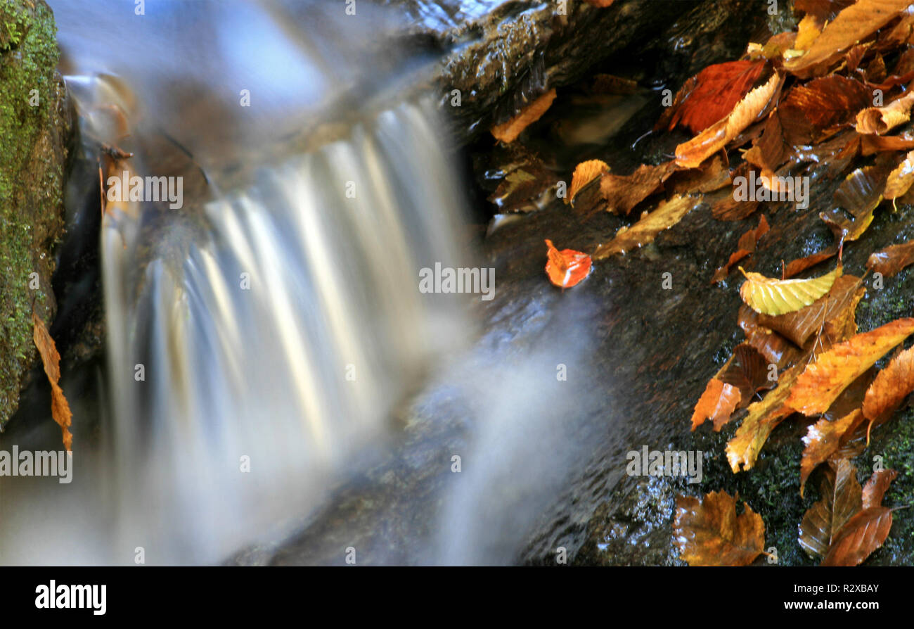 autumn on the river Stock Photo