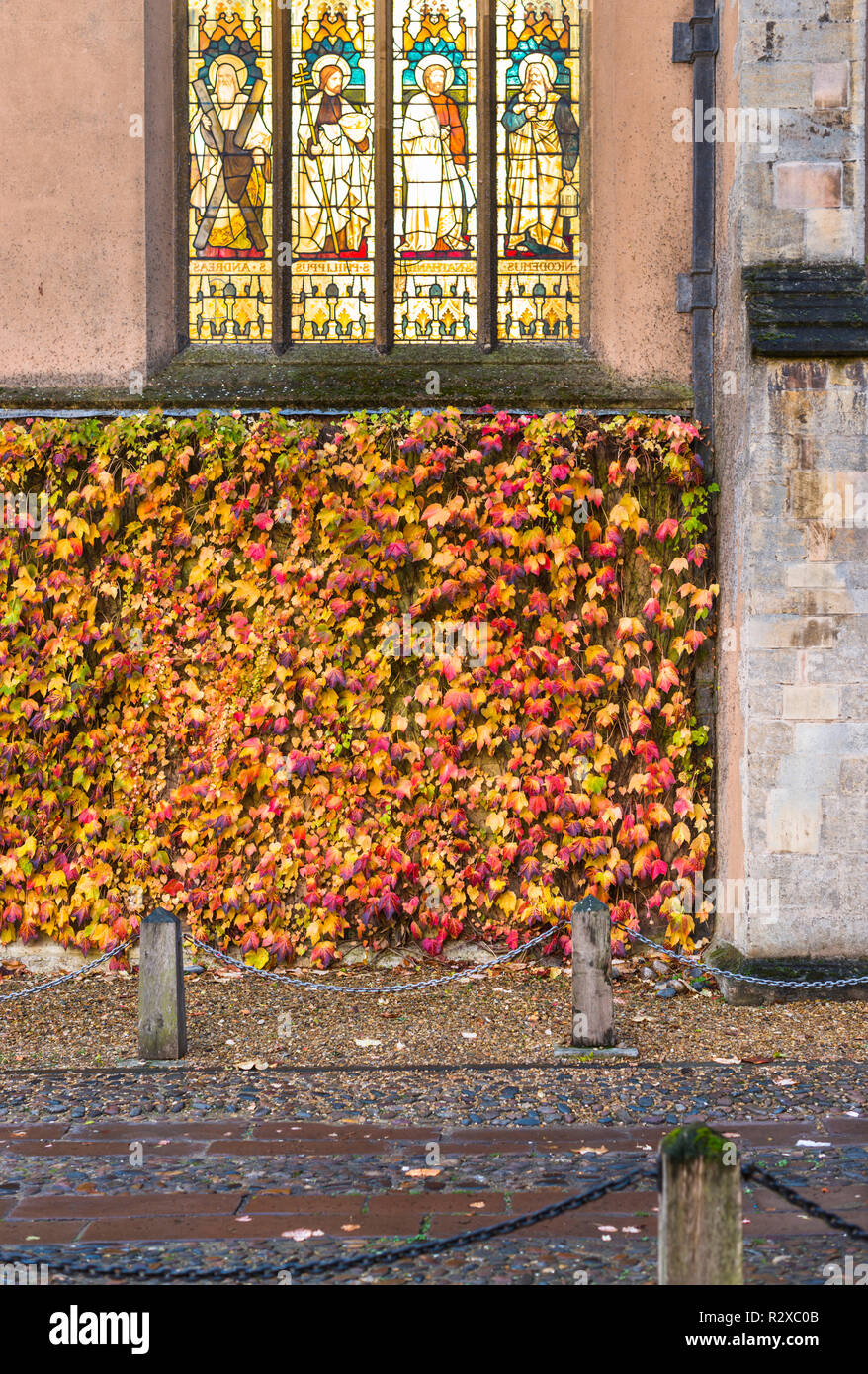 Trinity College chapel facade with Autumn colours. Cambridge University, England. UK Stock Photo