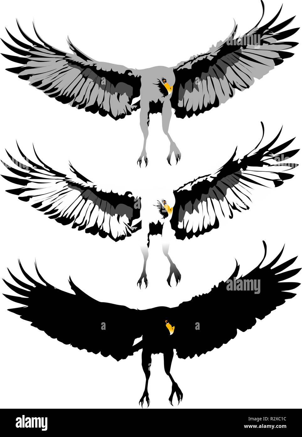 liberty phoenix liberty phoenix