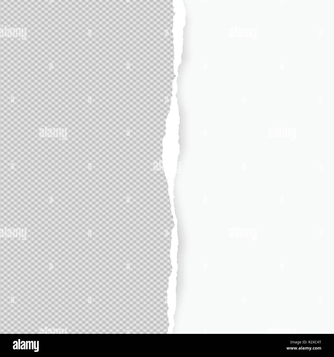 Squared ripped vertical grey paper for text or message are on white background. Vector illustration Stock Vector