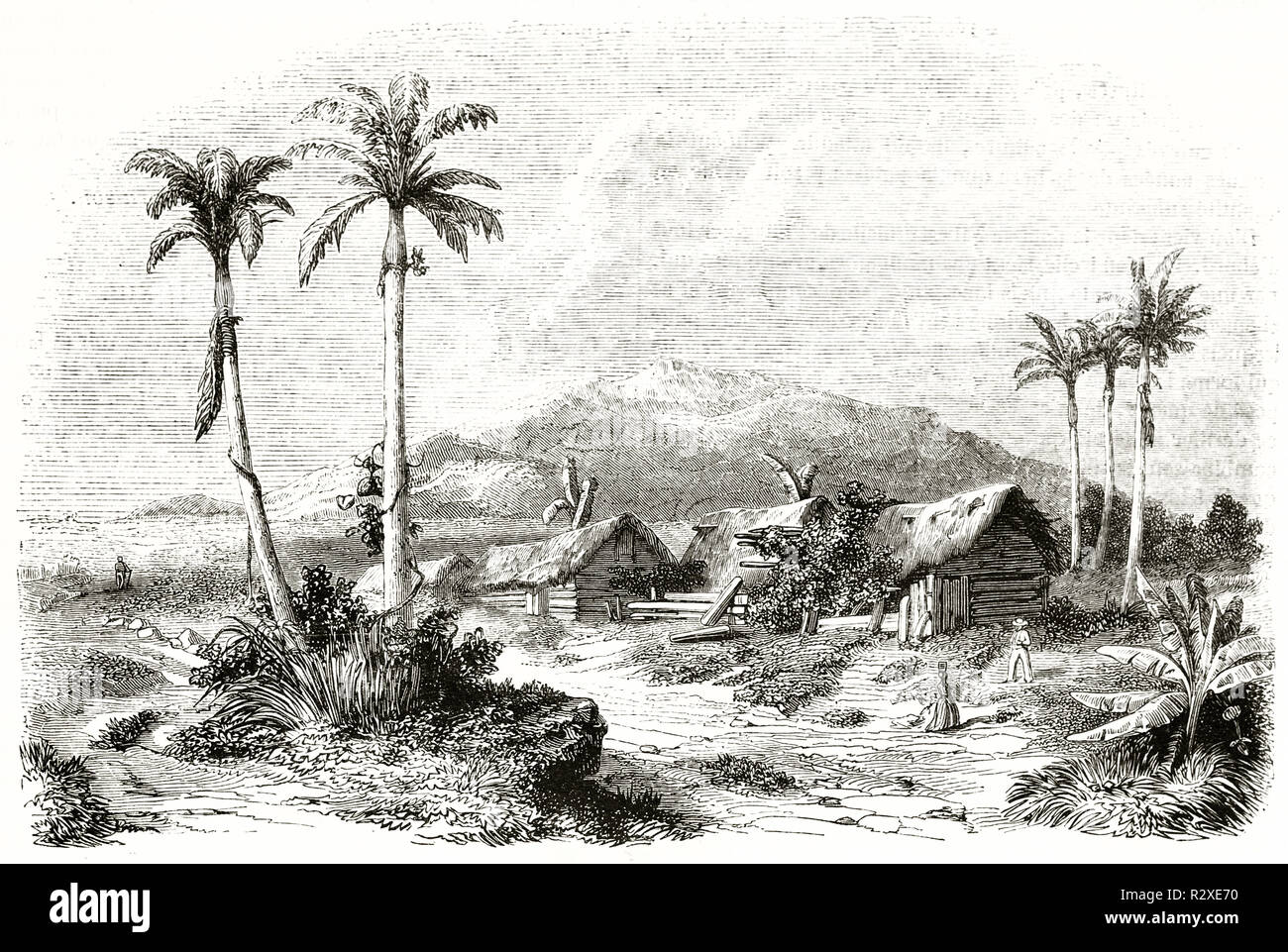 Old view of Guadeloupe, Caribbean. By Fontenay, publ. on Magasin Pittoresque, Paris, 1846 Stock Photo
