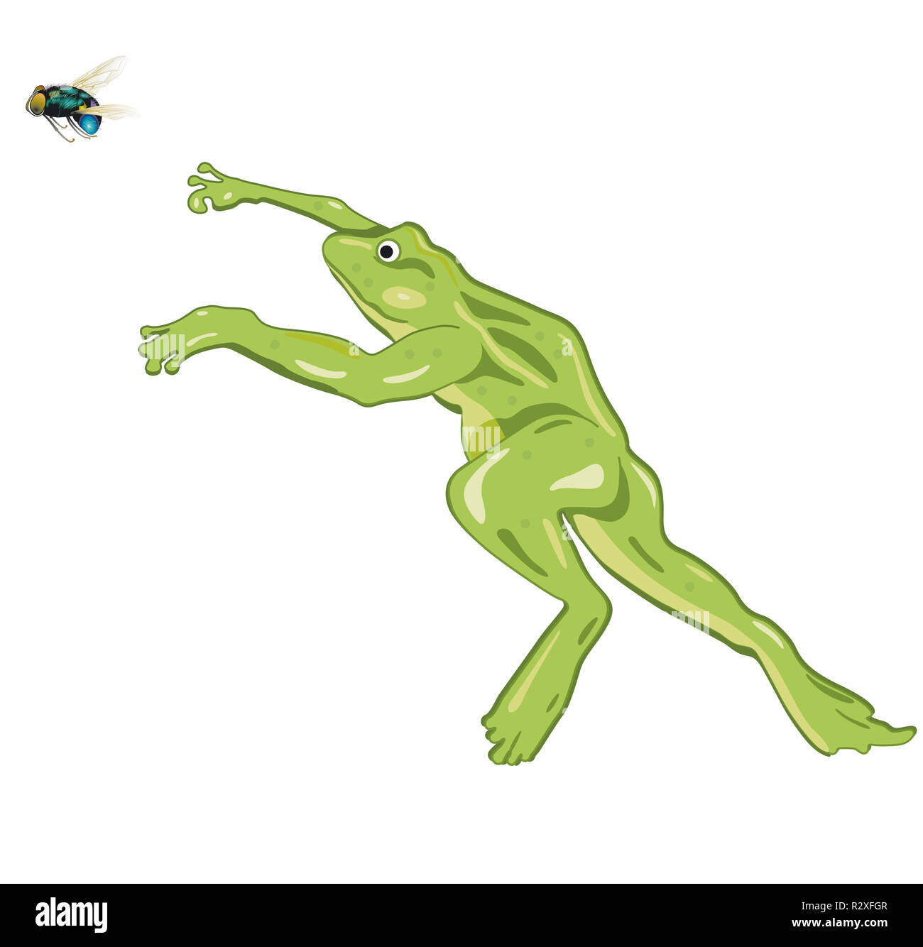 Frogs jumping Cut Out Stock Images & Pictures - Alamy