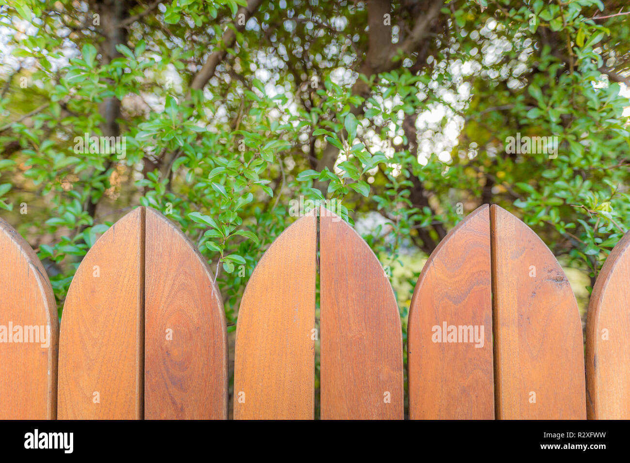 Countryside wooden fence background with blurred green garden Stock ...