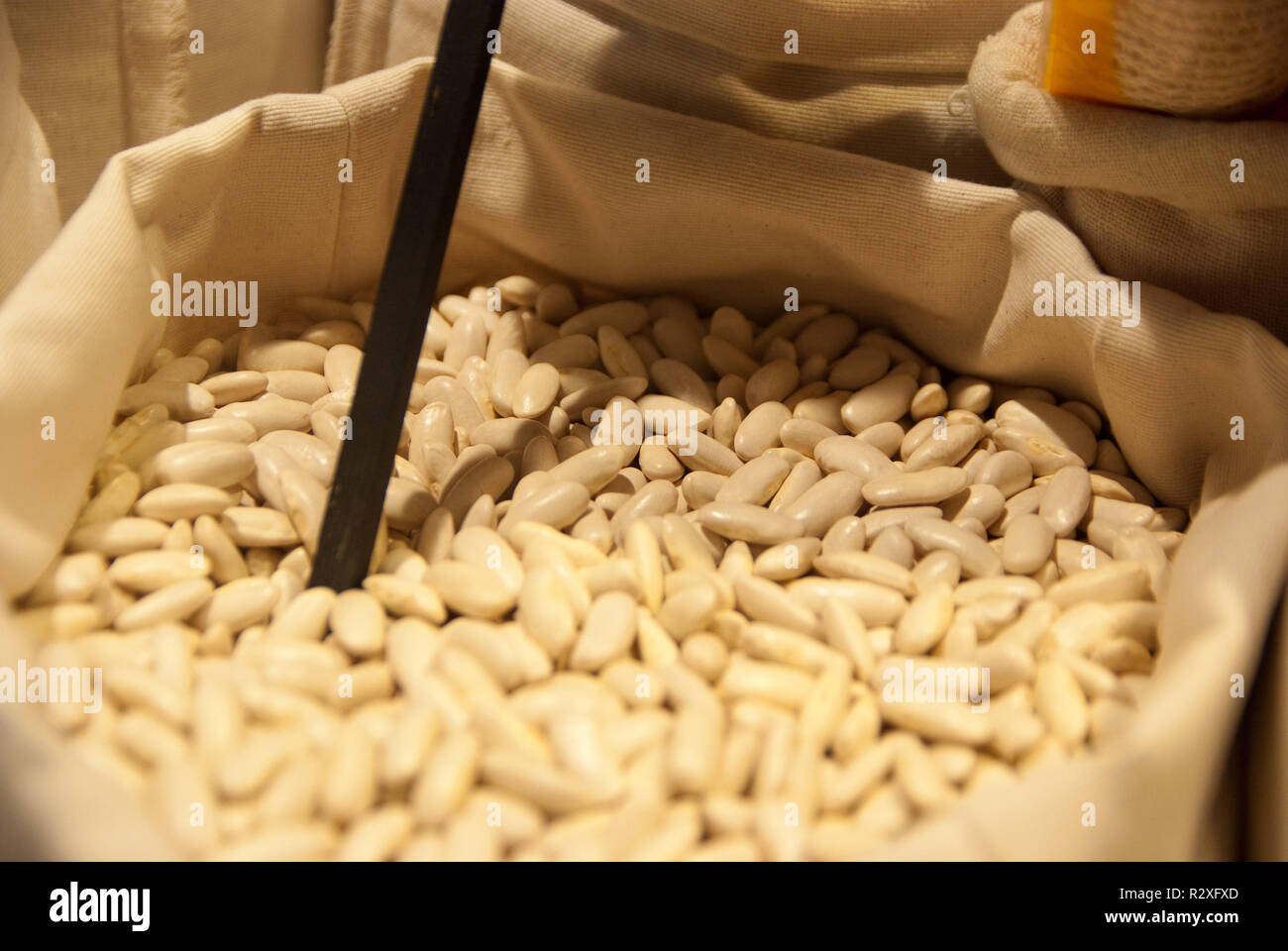Lima bean farming hires stock photography and images Alamy