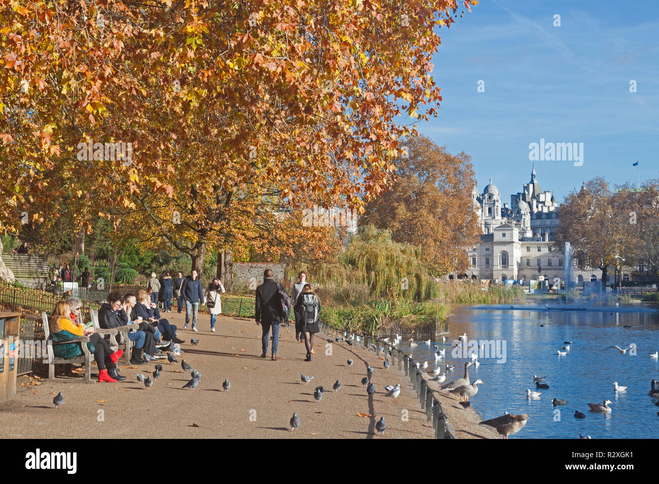 London, Westminster.   The Scene by the lake in St James's Park on a warm autumn day in November. Stock Photo