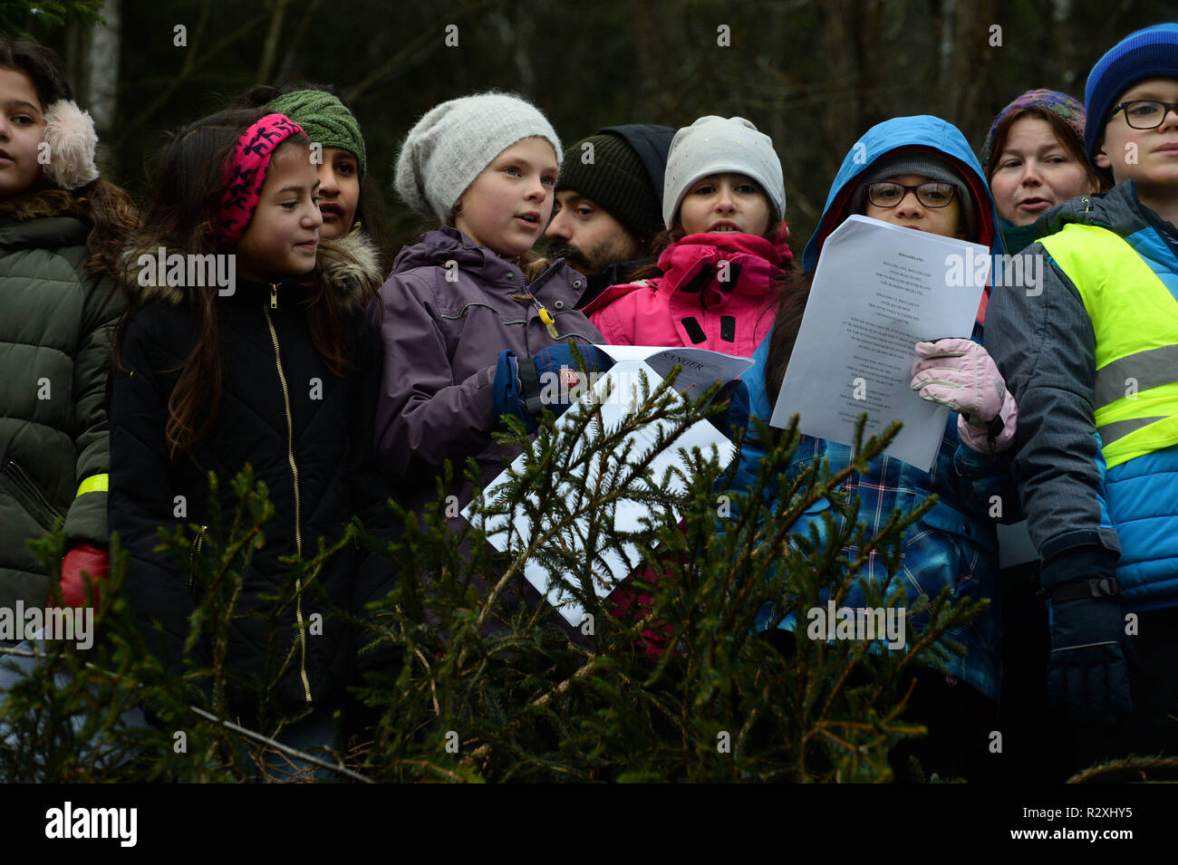 School children sing Christmas carols during a tree felling ceremony, in Oslo, Norway. Stock Photo