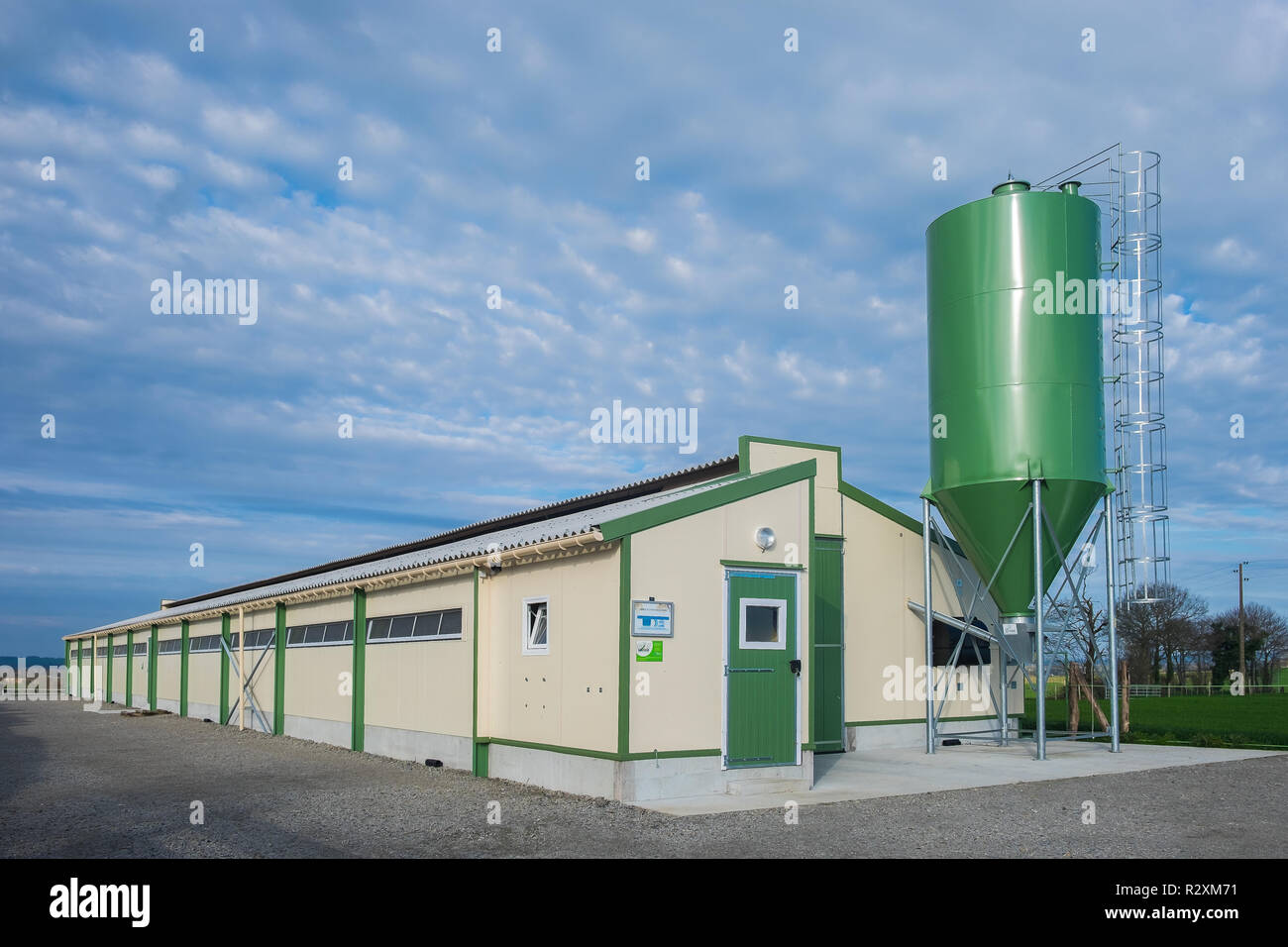 Chicken farm with a feed silo tank in the French countryside, Mayenne, France Stock Photo