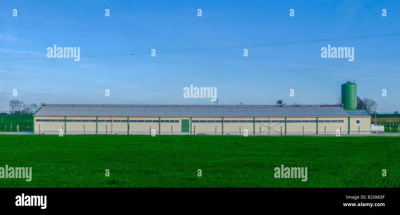 Side view of a chicken farm with a gas tank and a chicken feed silo tank in the Mayenne countryside, France Stock Photo