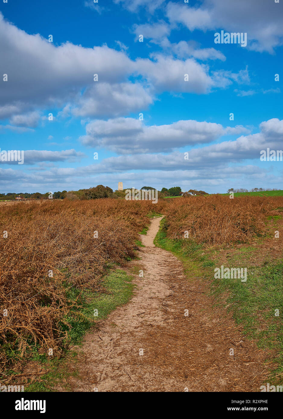 A path leading through a field of bracken that has turned brown due to autumn with St Andrews church at Covehithe in the distance, Suffolk, England,UK Stock Photo