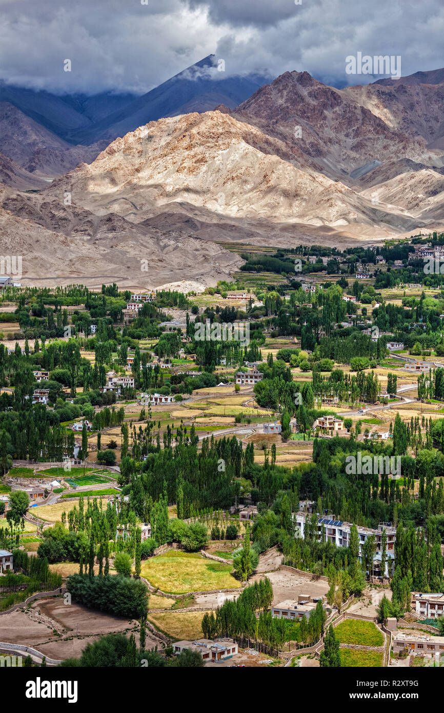 Leh city in Himalayas, Ladakh, India Stock Photo