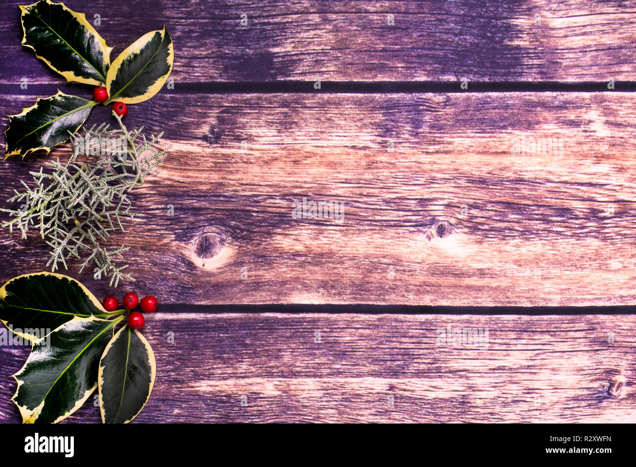christmas holly and red berries background with holly and red berries ...