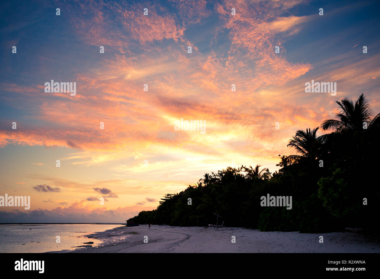 Sunset sunrise beach landscape. Amazing colors sky and calm sea water with palm trees over tranquil beach Stock Photo