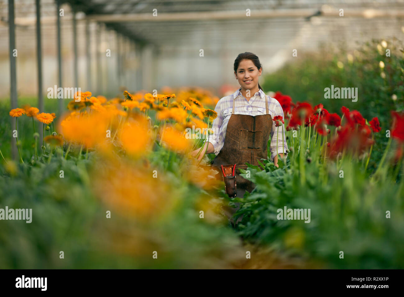 Portrait of a happy teenage girl inside a greenhouse Stock Photo - Alamy