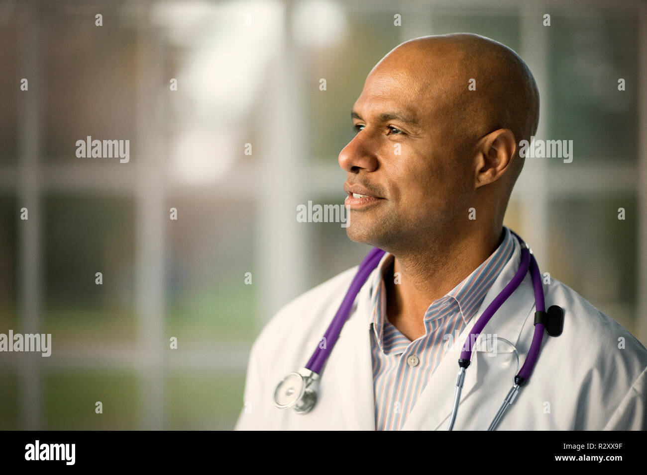 Adult male males hi-res stock photography and images - Alamy