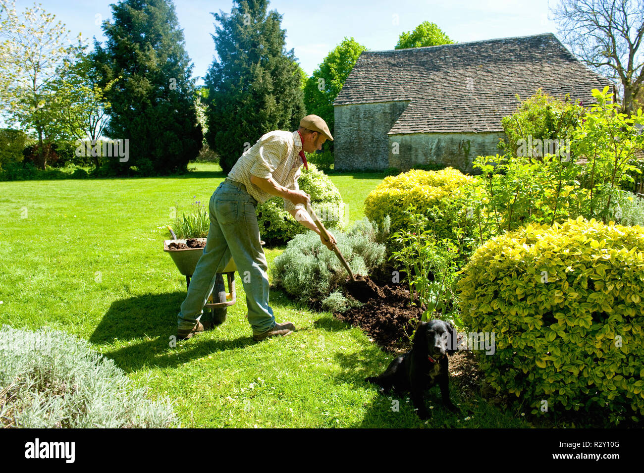 A man gardening, using a fork to add mulch and fertiliser to soil