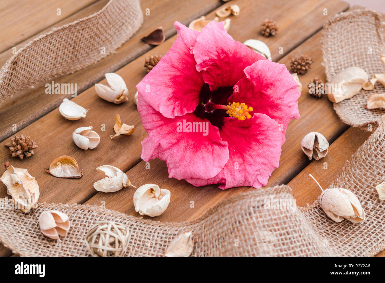 Red Hibiscus flower composition on wooden surface Stock Photo