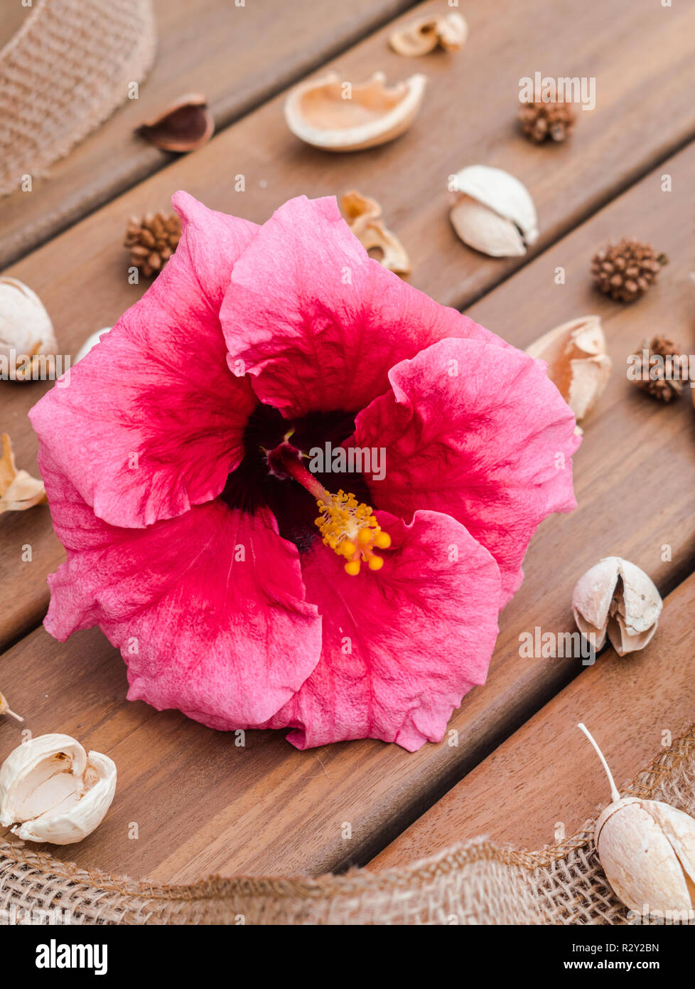 Red Hibiscus flower composition on wooden surface Stock Photo