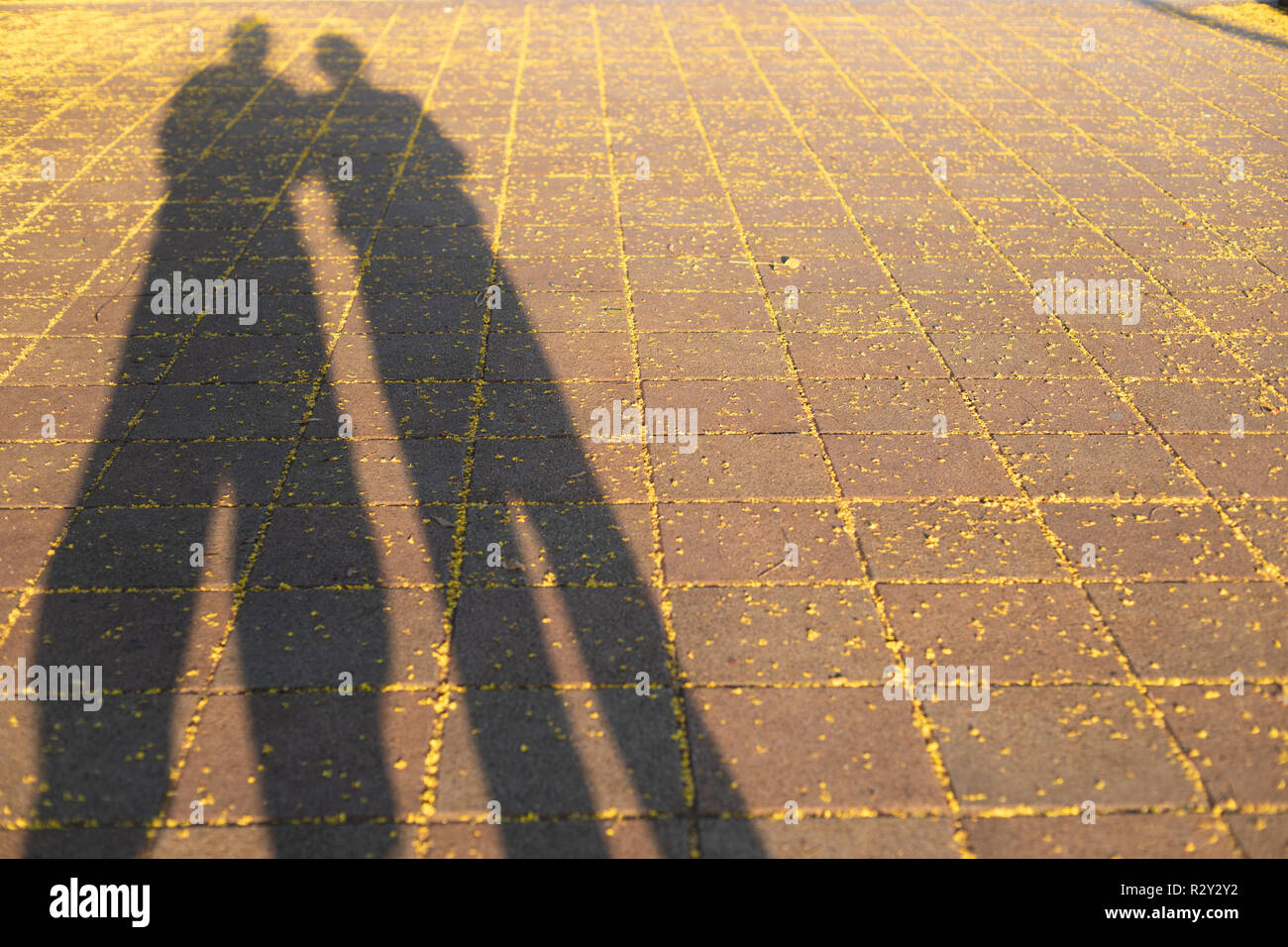 Long autumn evening shadows of couple huddled together Stock Photo
