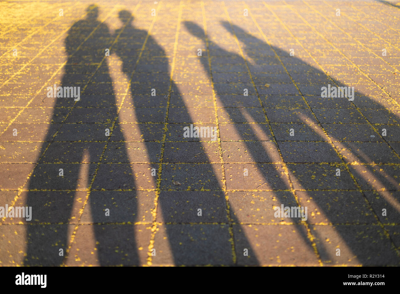 Long autumn evening shadows of two separate couples Stock Photo