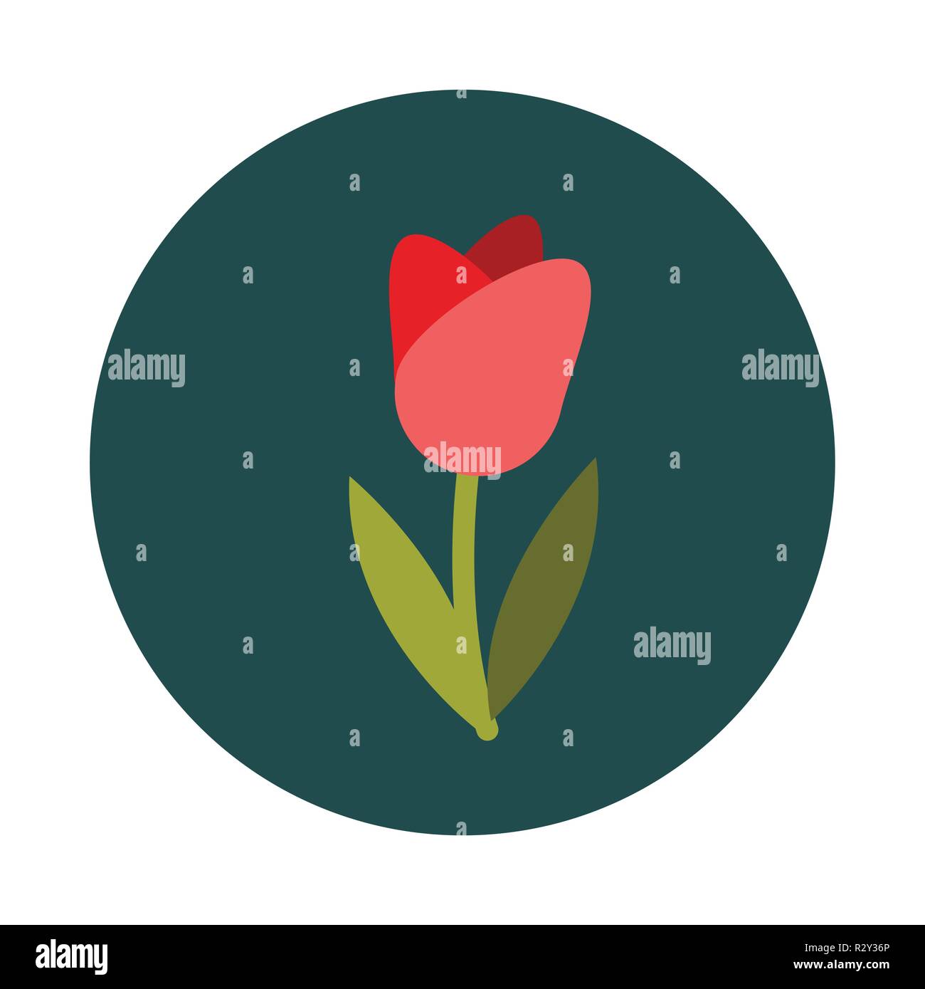 Flat Spring flower on white background Stock Vector Image & Art - Alamy