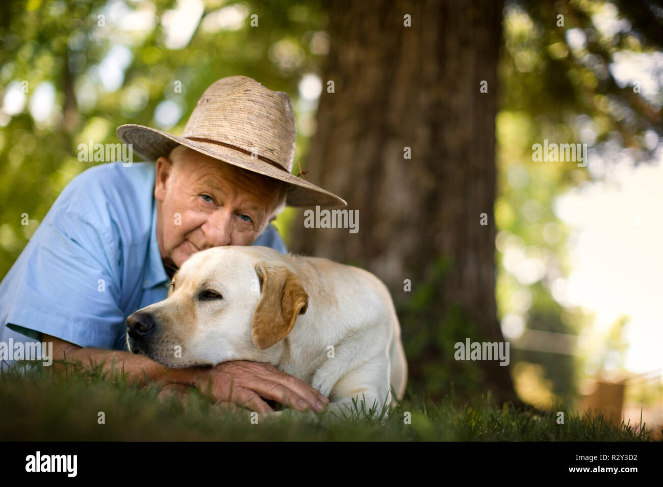 Senior man lying on the grass with his dog. Stock Photo