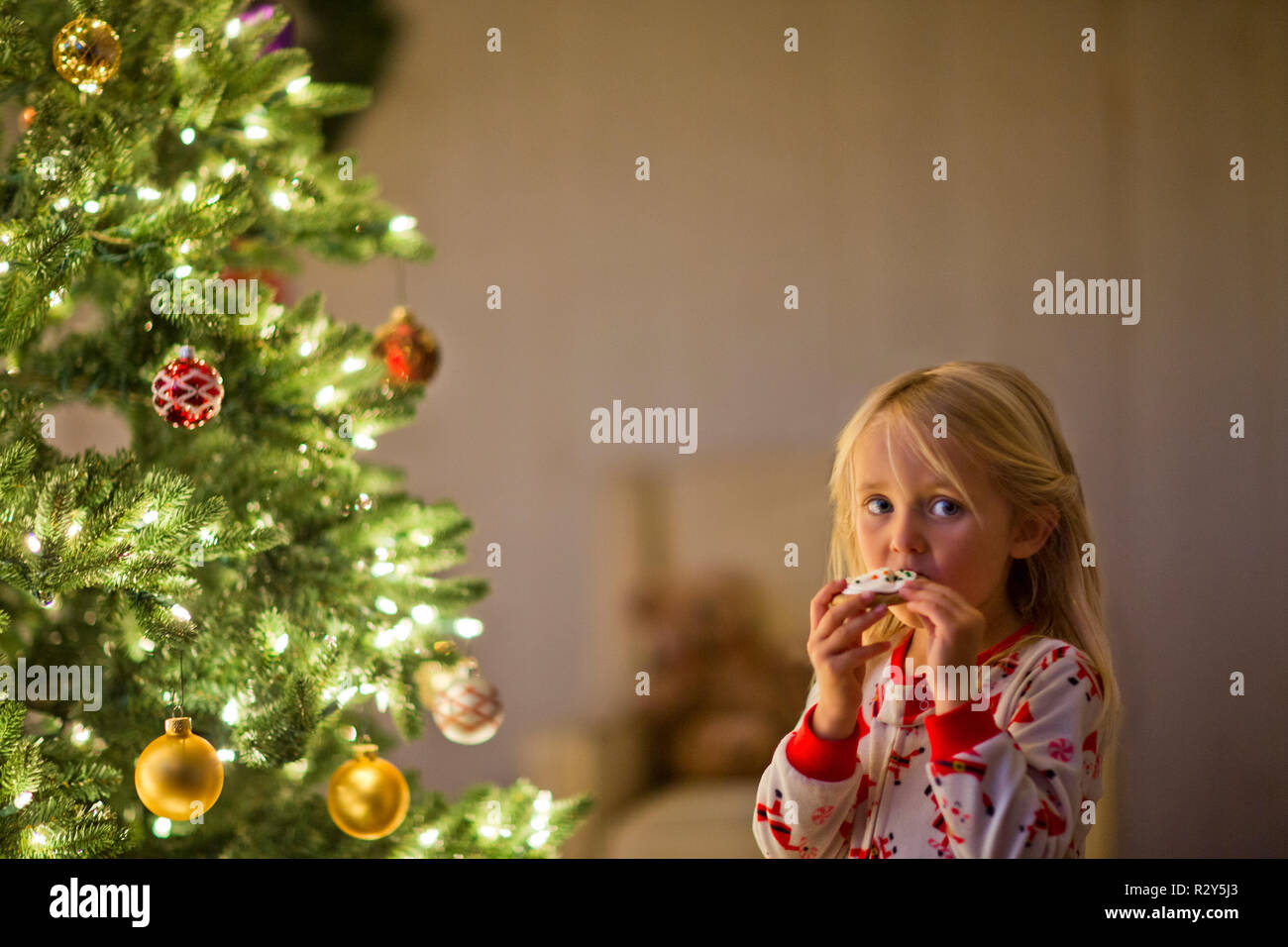 Young girl eating a Christmas cookie. Stock Photo
