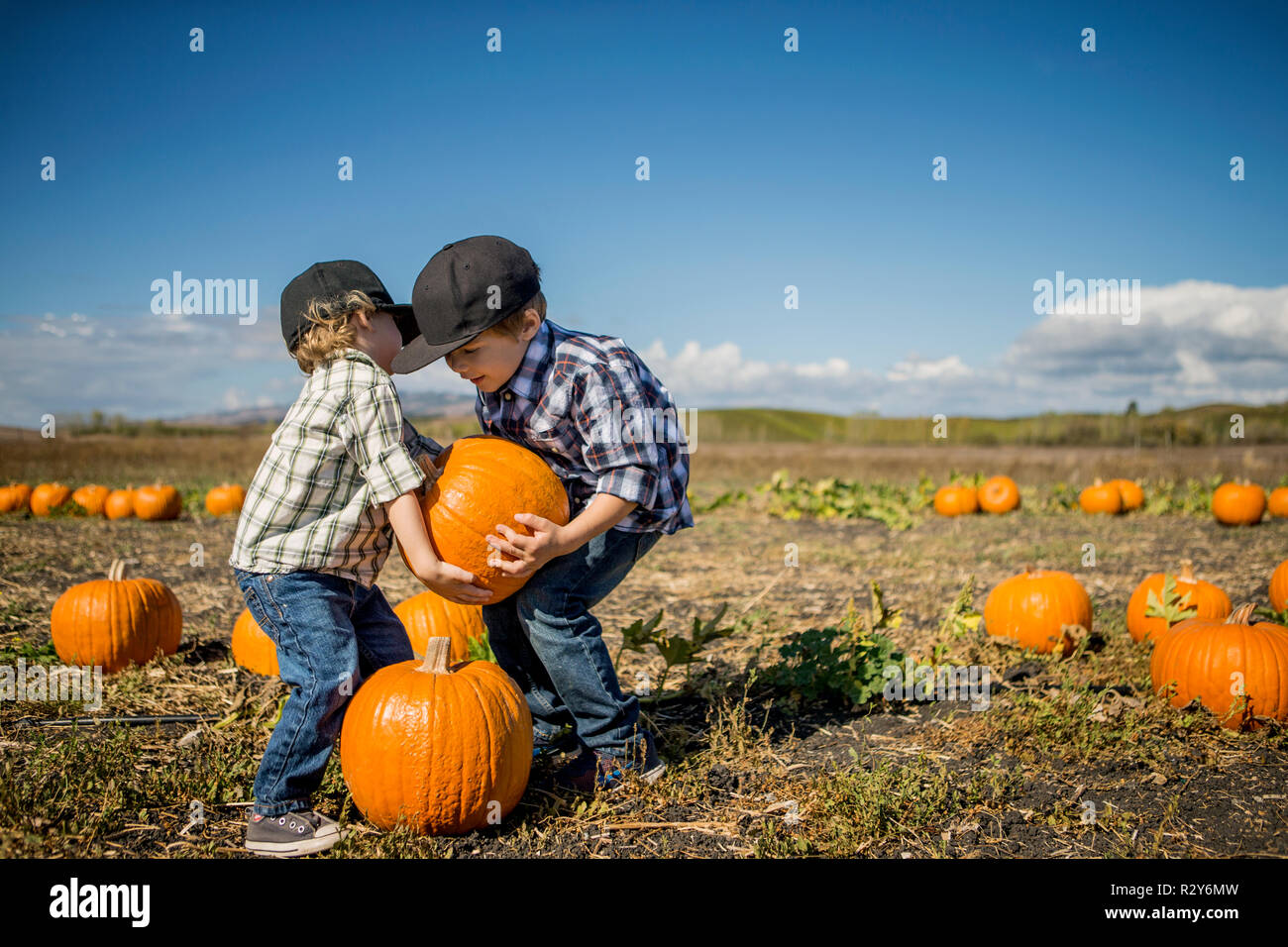 Two young boys trying to lift pumpkin Stock Photo - Alamy