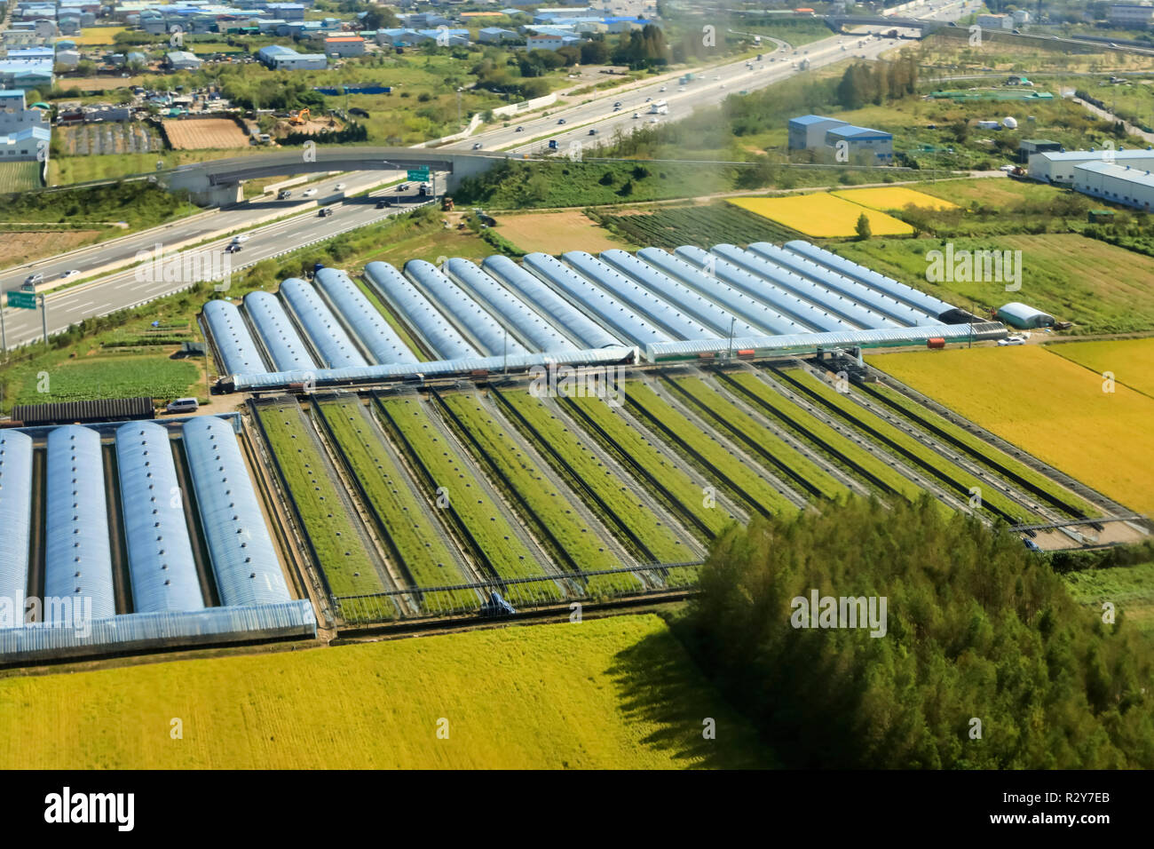 agricultural land along the road,Busan South Korea Stock Photo Alamy