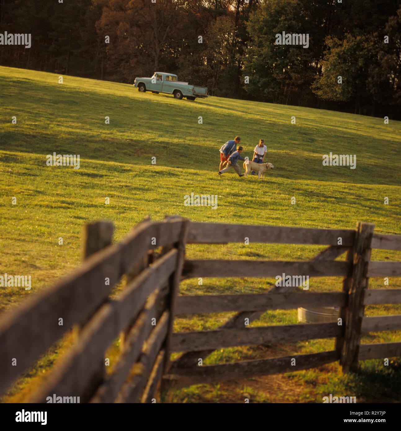 Three youngsters are playing with their dog. Stock Photo