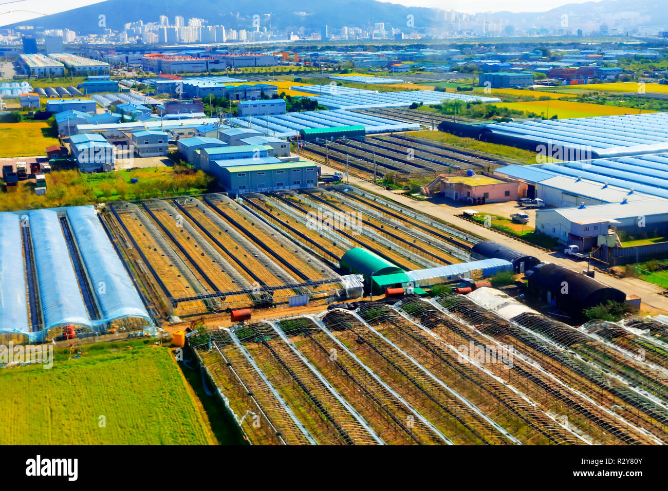 agricultural land along the road,Busan South Korea Stock Photo Alamy