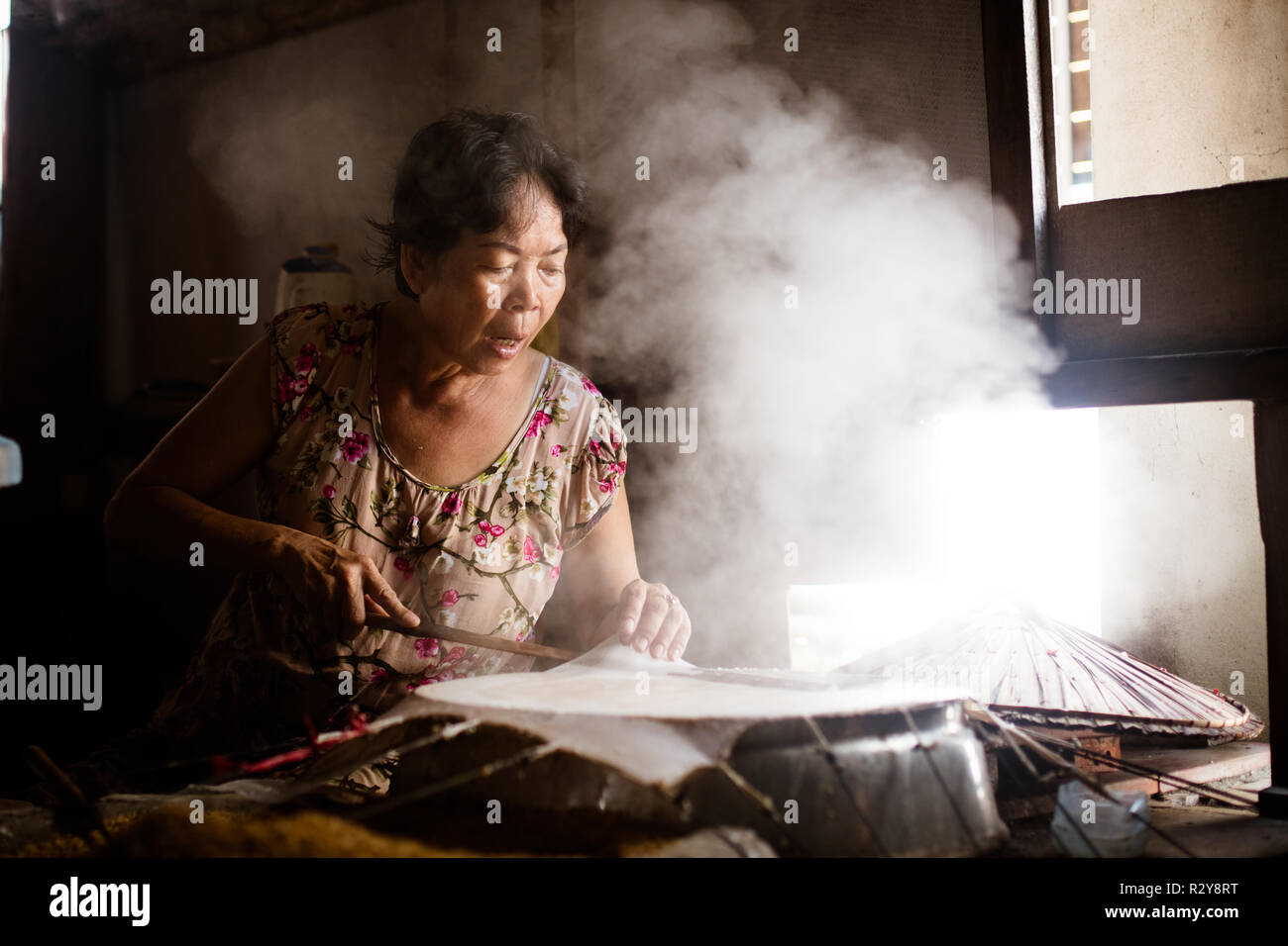Rice paper roll hi-res stock photography and images - Alamy