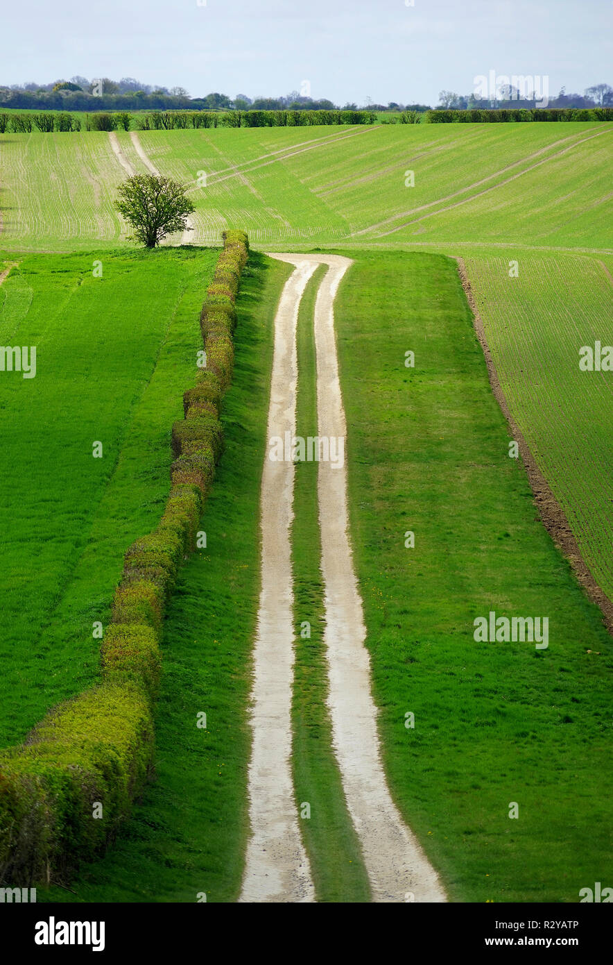 Chalk farm track near Slip End, Hertfordshire Stock Photo Alamy