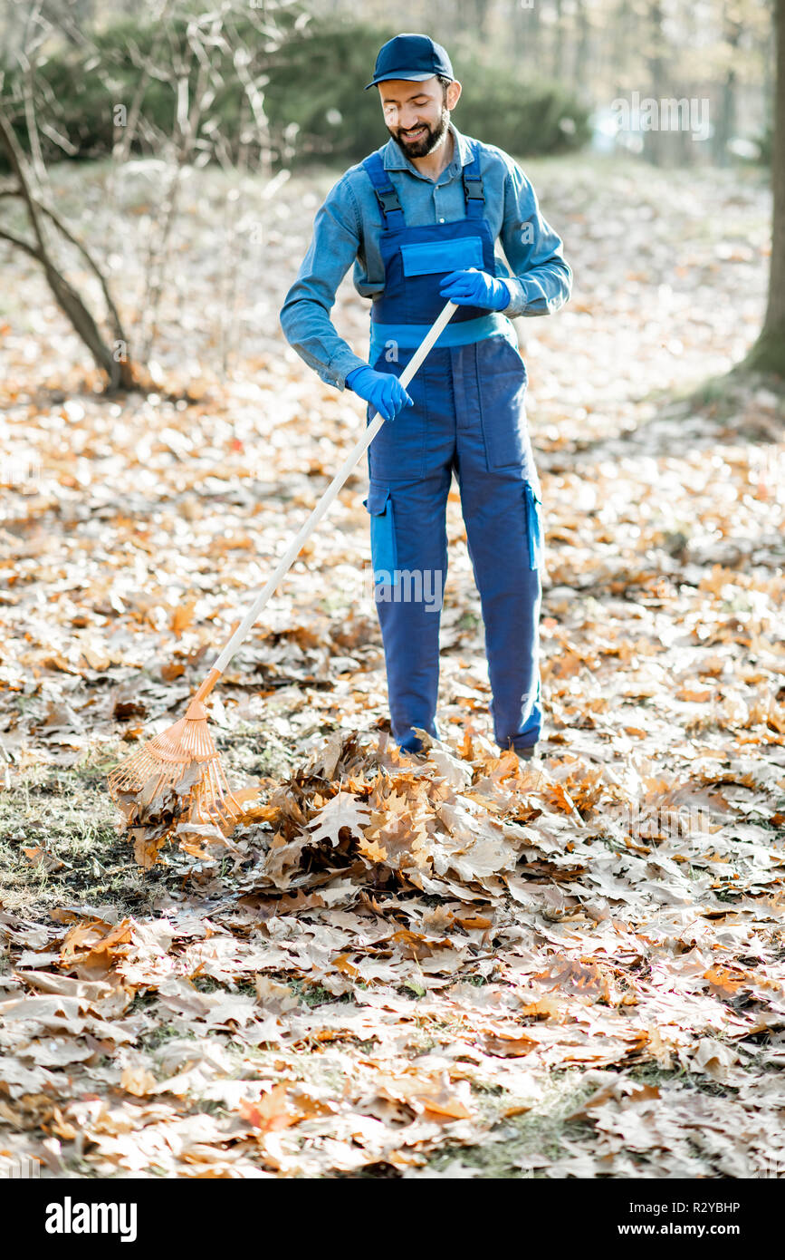 Professional male sweeper in blue uniform raking leaves in the garden during the autumn time Stock Photo