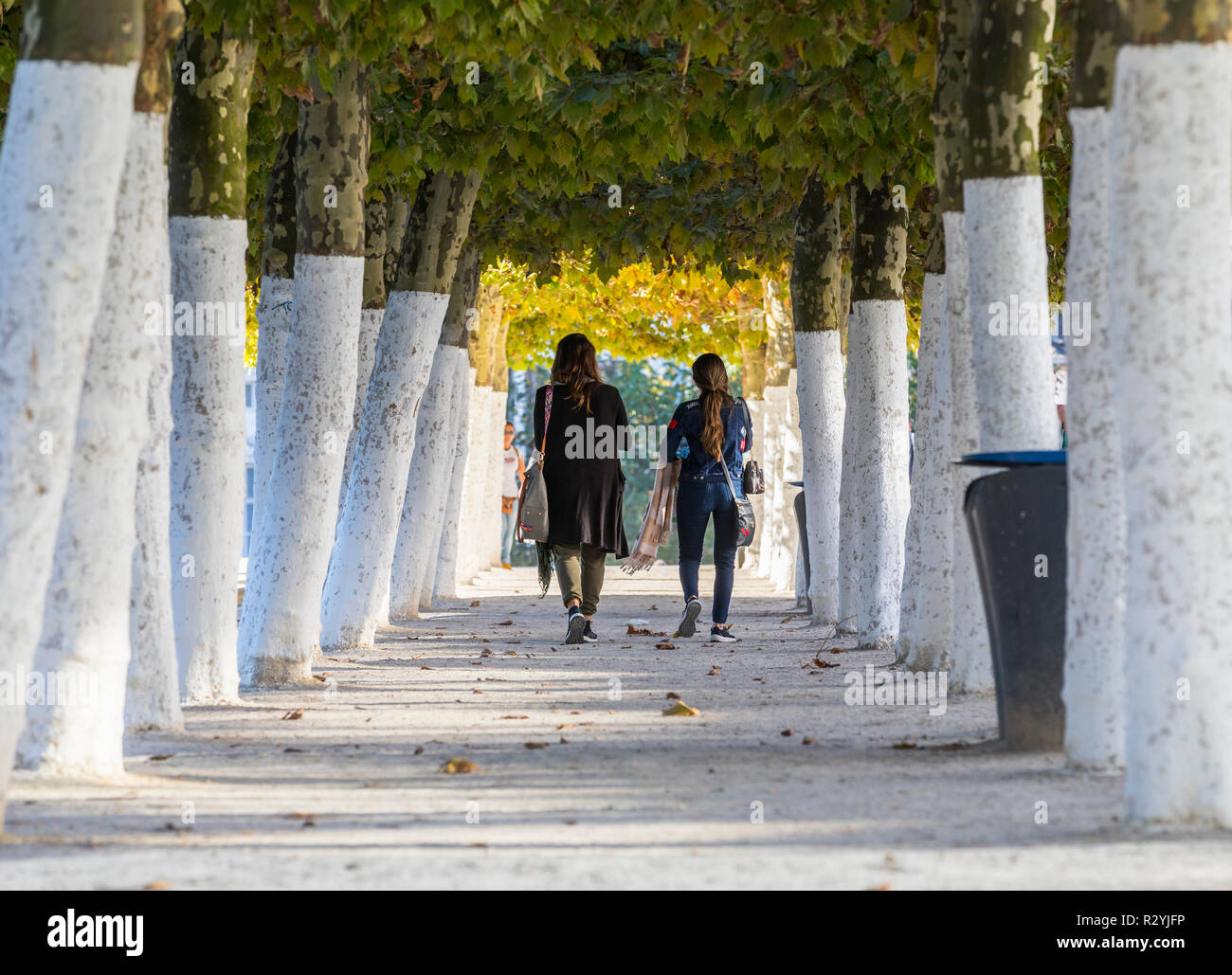 Two girls in the woods hi-res stock photography and images - Alamy