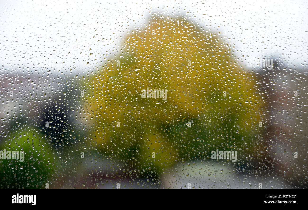 Rain drops on window, with tree. Stock Photo